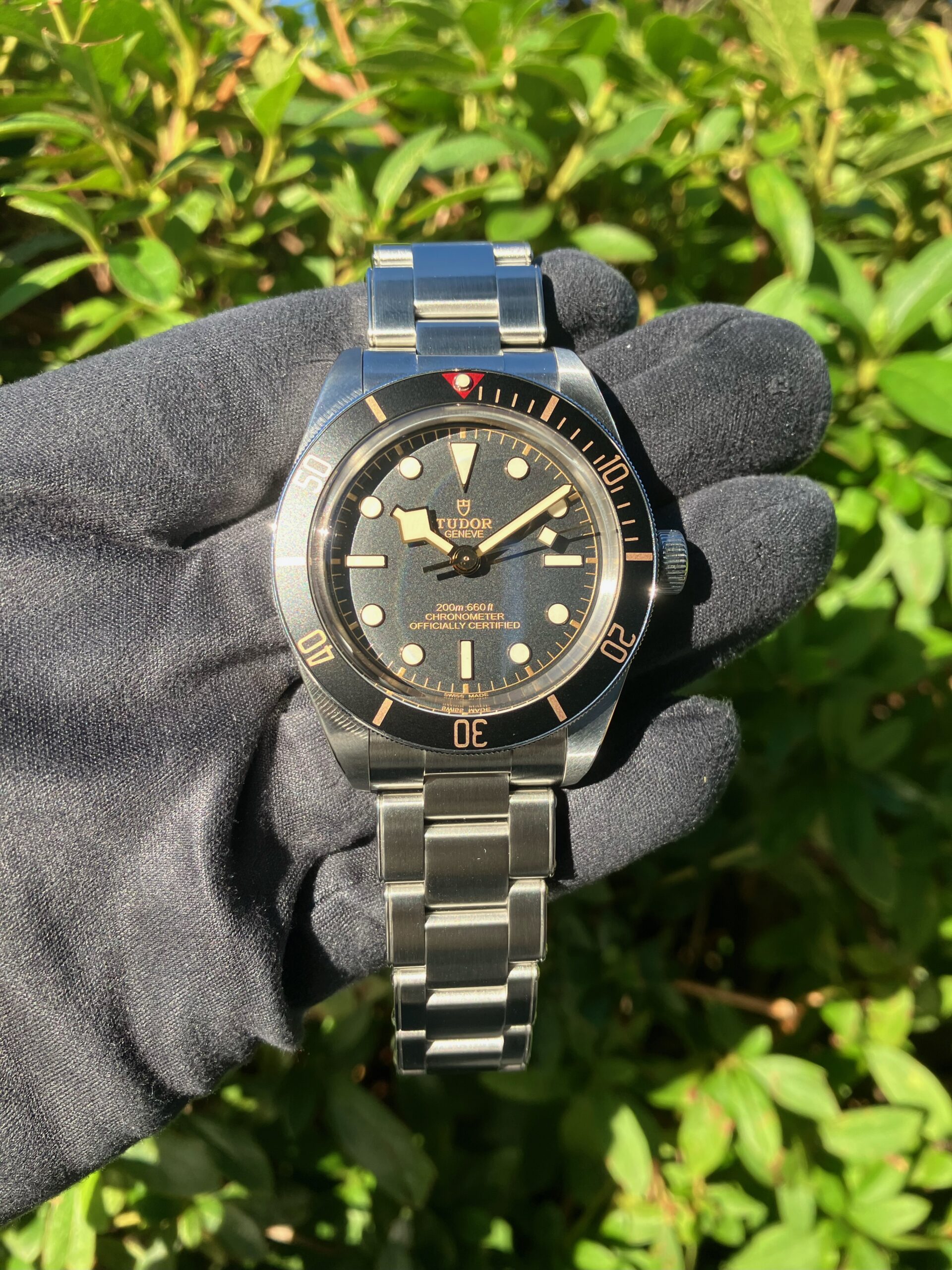 TUDOR】チューダー 穏やかな金色に黒文字盤がレトロ感を演出 ブラック