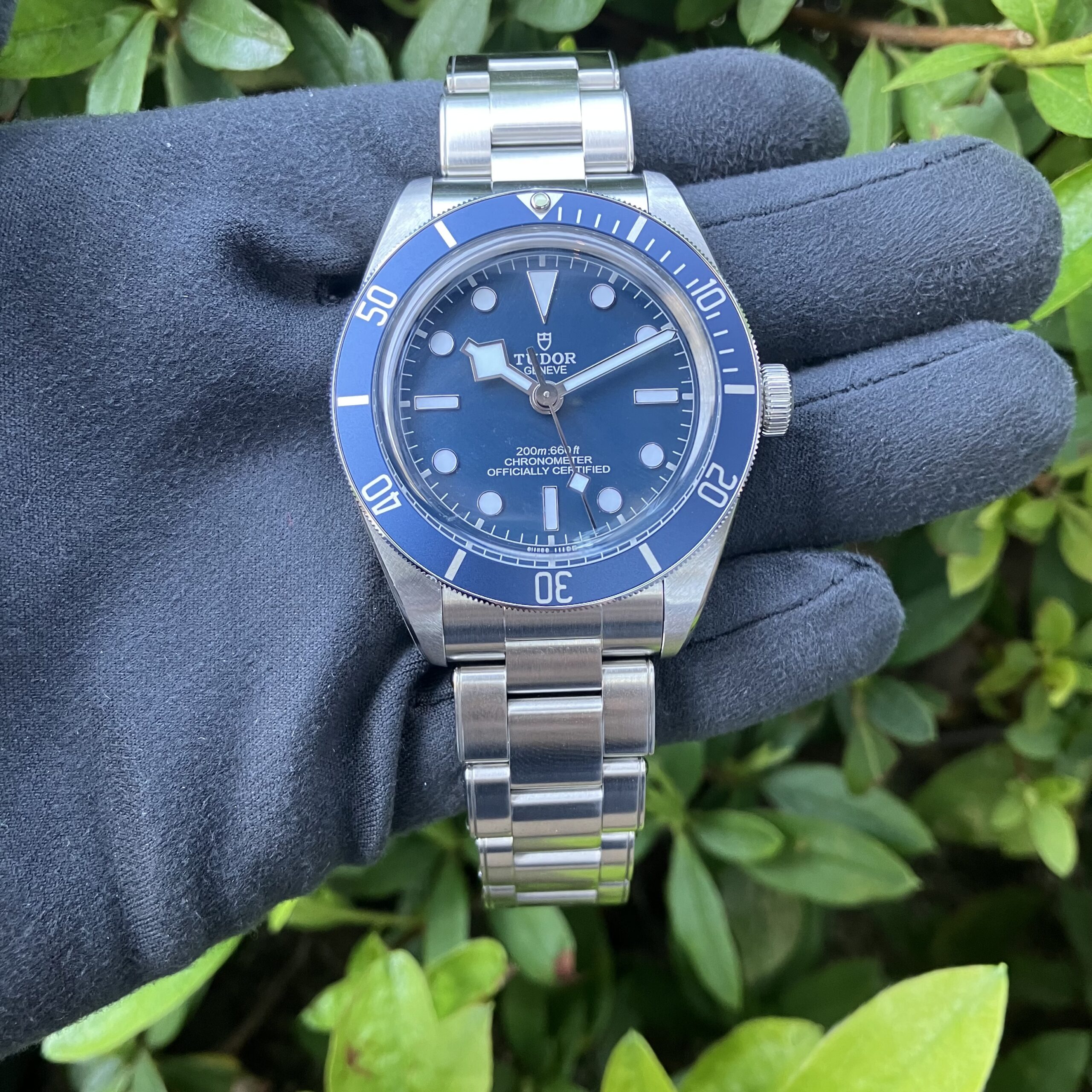 TUDOR】チューダー ビジネス＆カジュアルシーンはこれで決まり