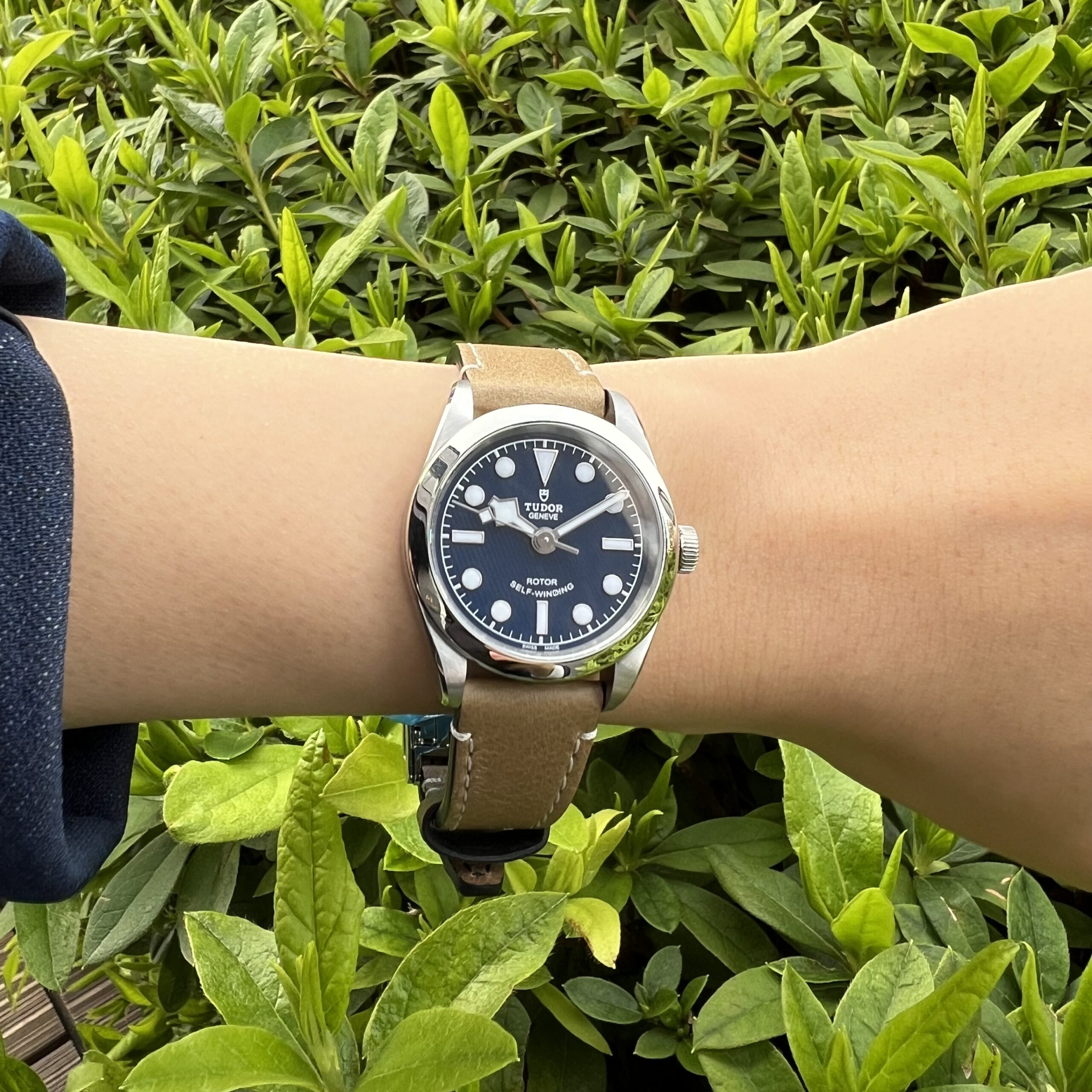 TUDOR】チューダー 澄み切った青 ブラックベイ 32 - 浜松店 Blog