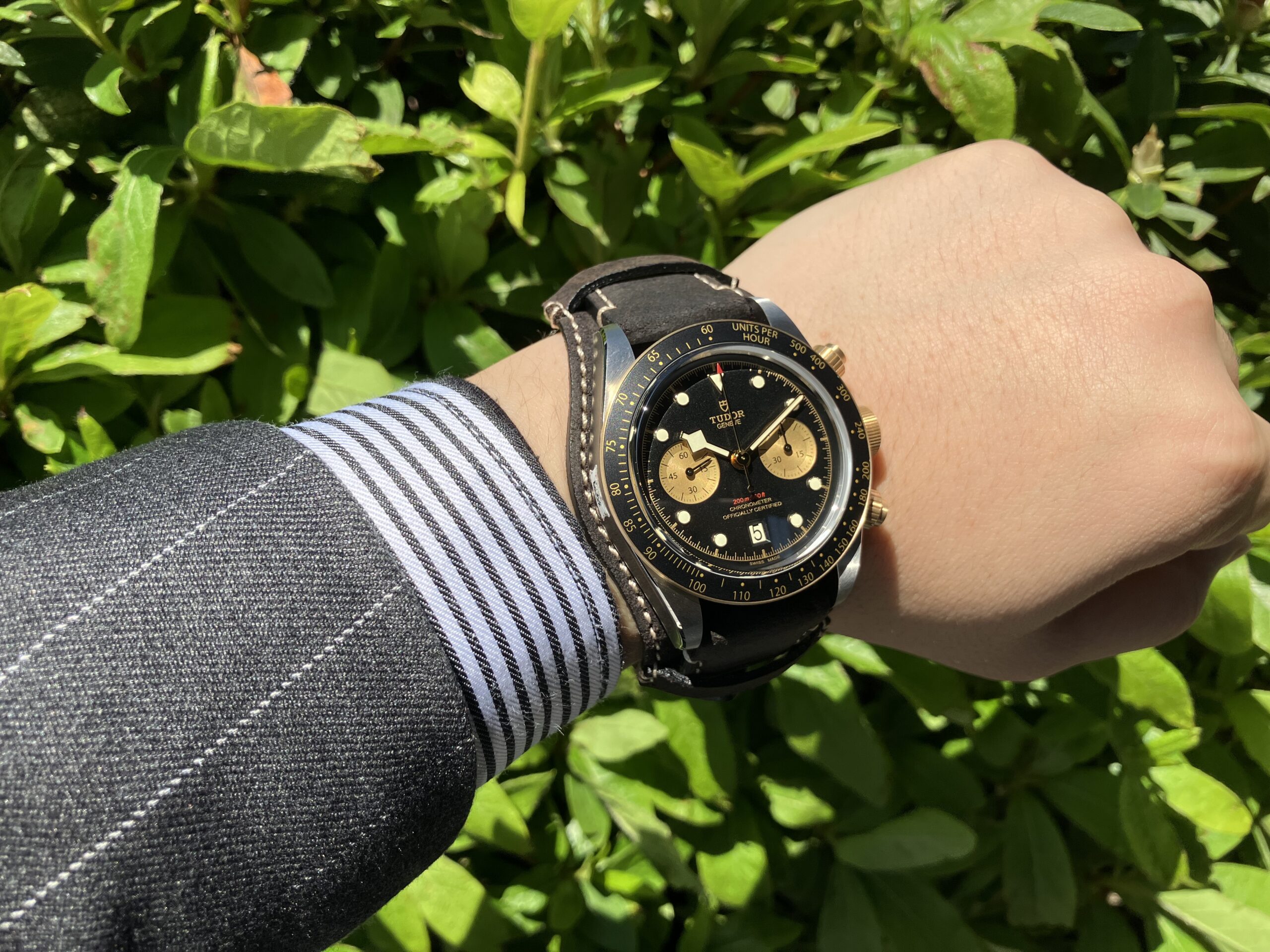TUDOR】チューダー カジュアルの中に黒金の輝き ブラックベイクロノ