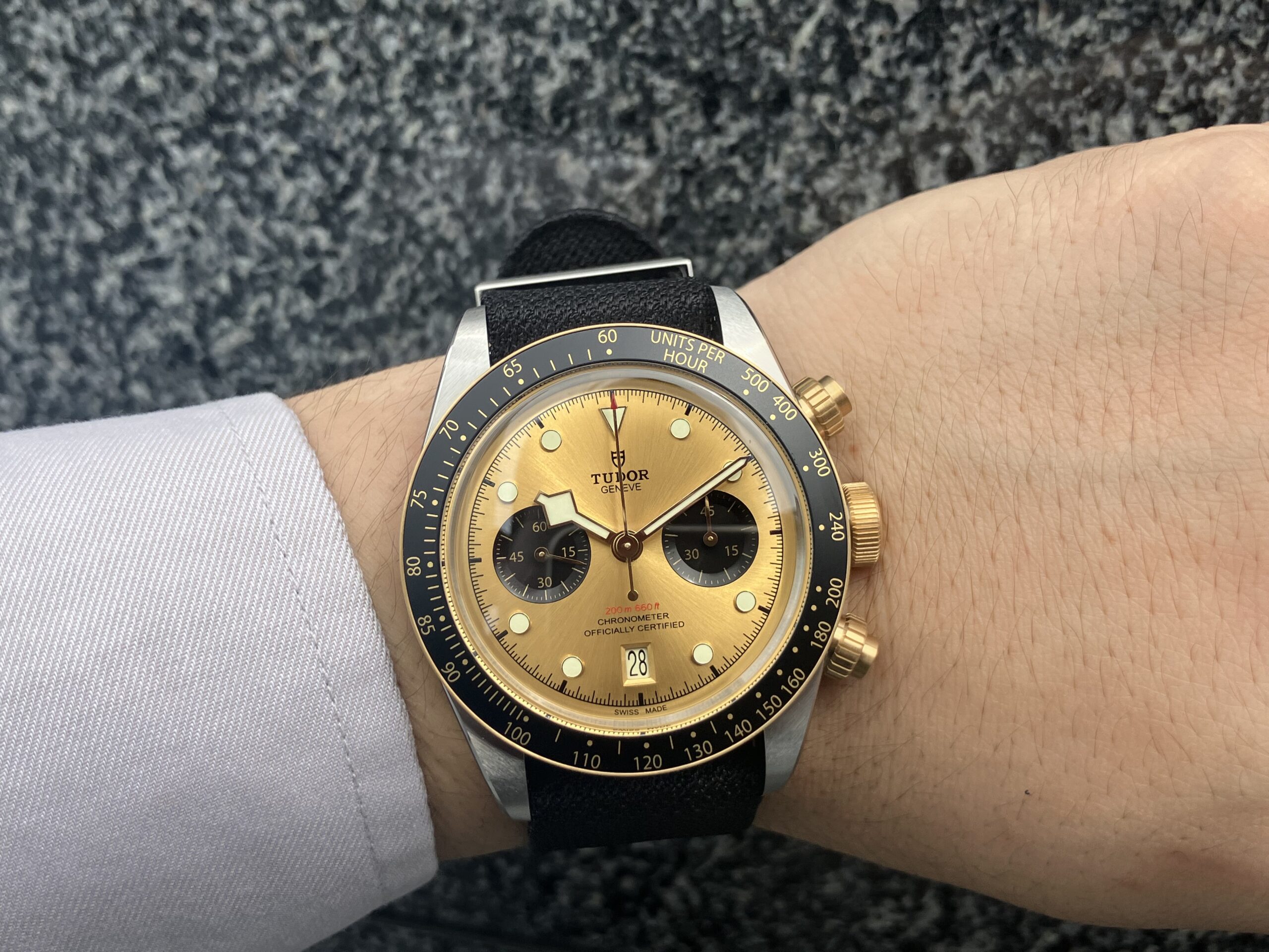TUDOR】チューダー 夏はゴールド一択 ブラックベイ クロノ S&G 79363N